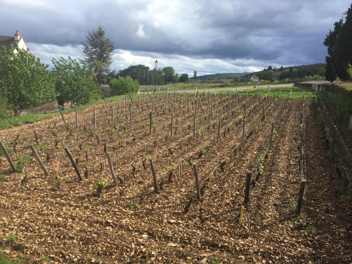 Les Hauts De Fixin, 50M2 Avec Exterieur Sur La Route Des Grands Crus, Dijon Sud Eksteriør bilde